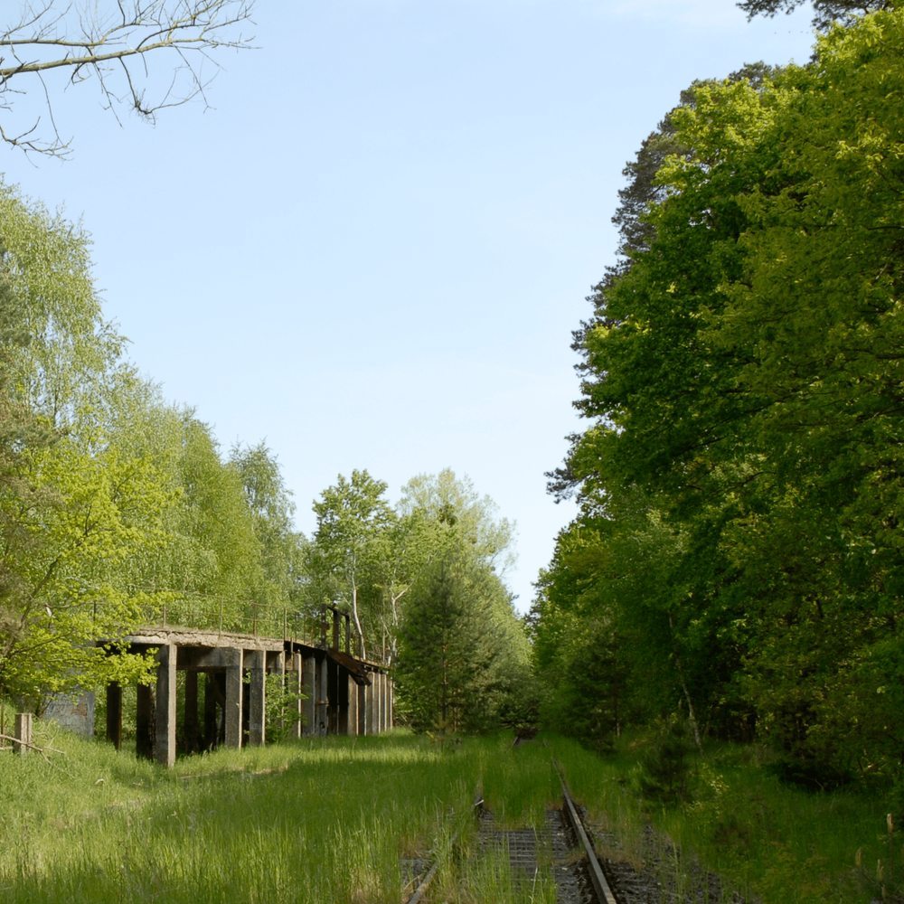 Das Themenbild zeigt ein verlassenes Gleis mit einer Betonruine im Hintergrund. Eingeschlossen werden diese Industrierelikte von maigrüner Vegation und strahlend blauem Himmel.